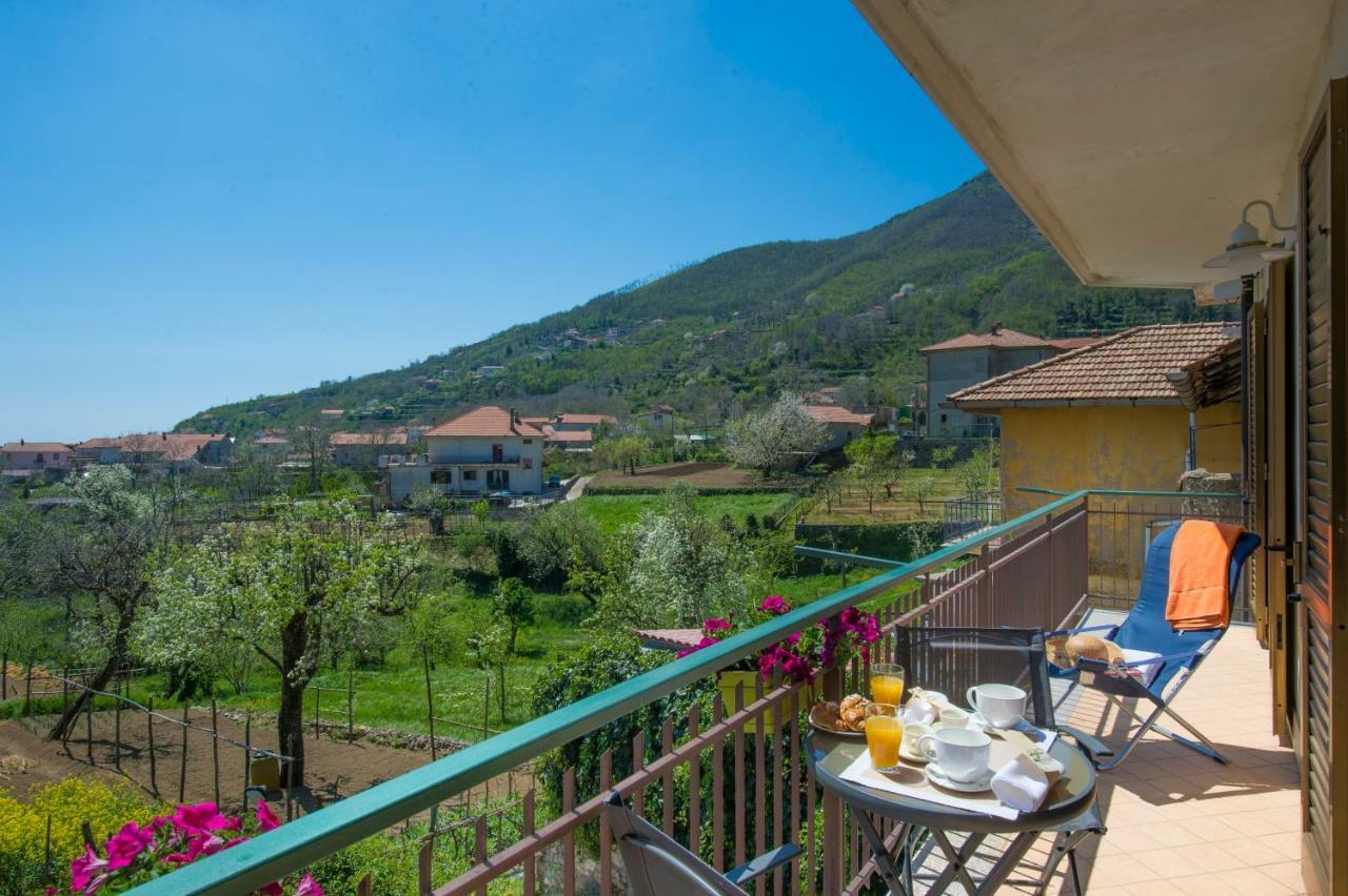 阿杰罗拉Al Cortile Di Nonno Luigi别墅 外观 照片