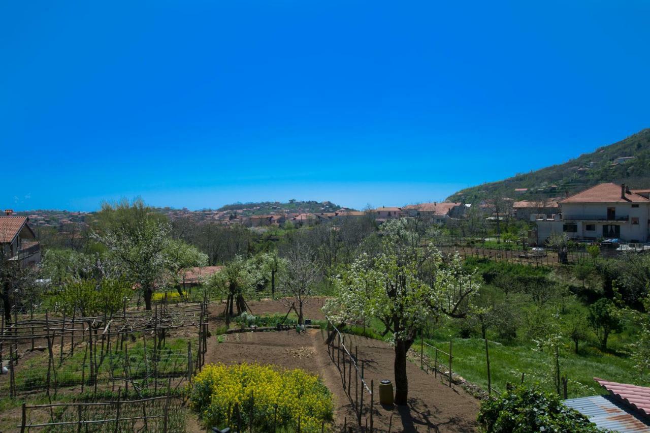 阿杰罗拉Al Cortile Di Nonno Luigi别墅 外观 照片